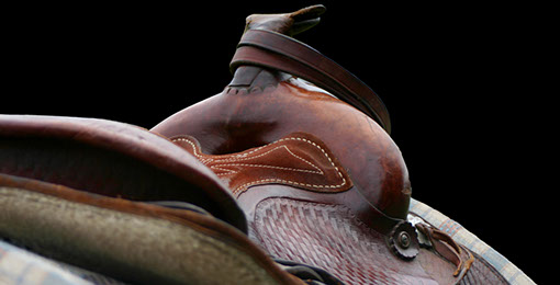 Horse saddle